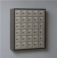 Super30 Cell Phone Locker (30 doors)
